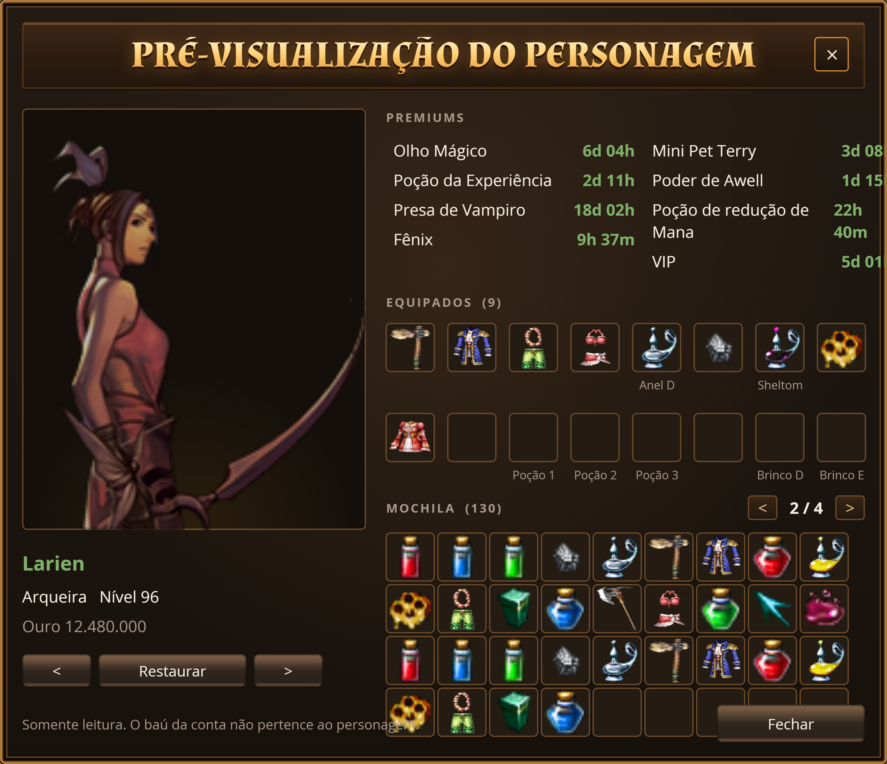 A janela de pré-visualização com o modelo 3D, status, skills, premiums, equipamentos e a mochila paginada.